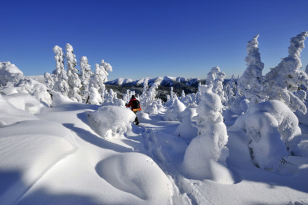 Tourisme gaspésie